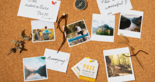 pengertian layout desain
